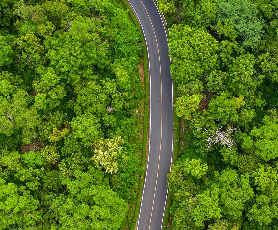 Vei som går gjennom en skog